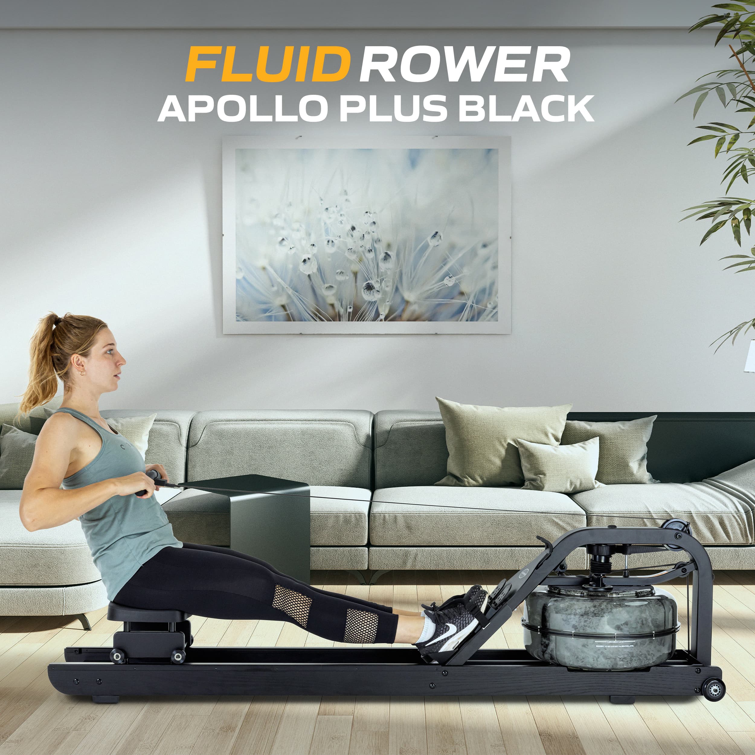 Fluid Rower - Apollo Plus Black – Image 2