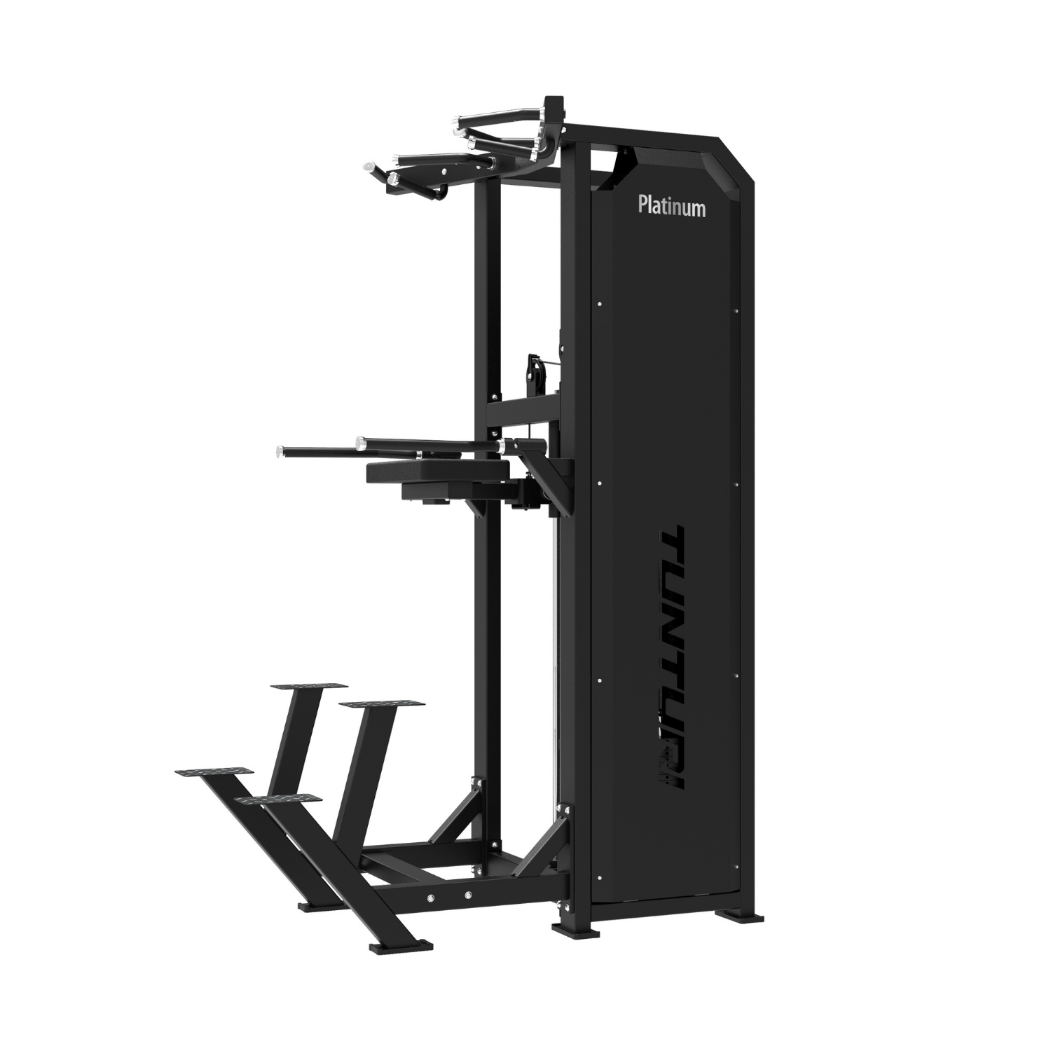 Tunturi Platinum - V-Series Dual Assisted Chin Up & Dip