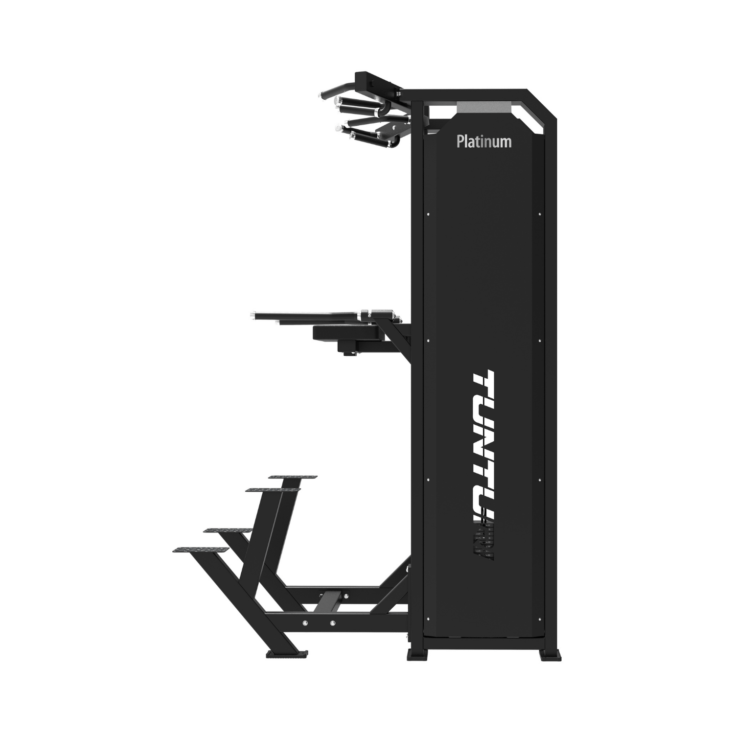 Tunturi Platinum - V-Series Dual Assisted Chin Up & Dip – Image 4