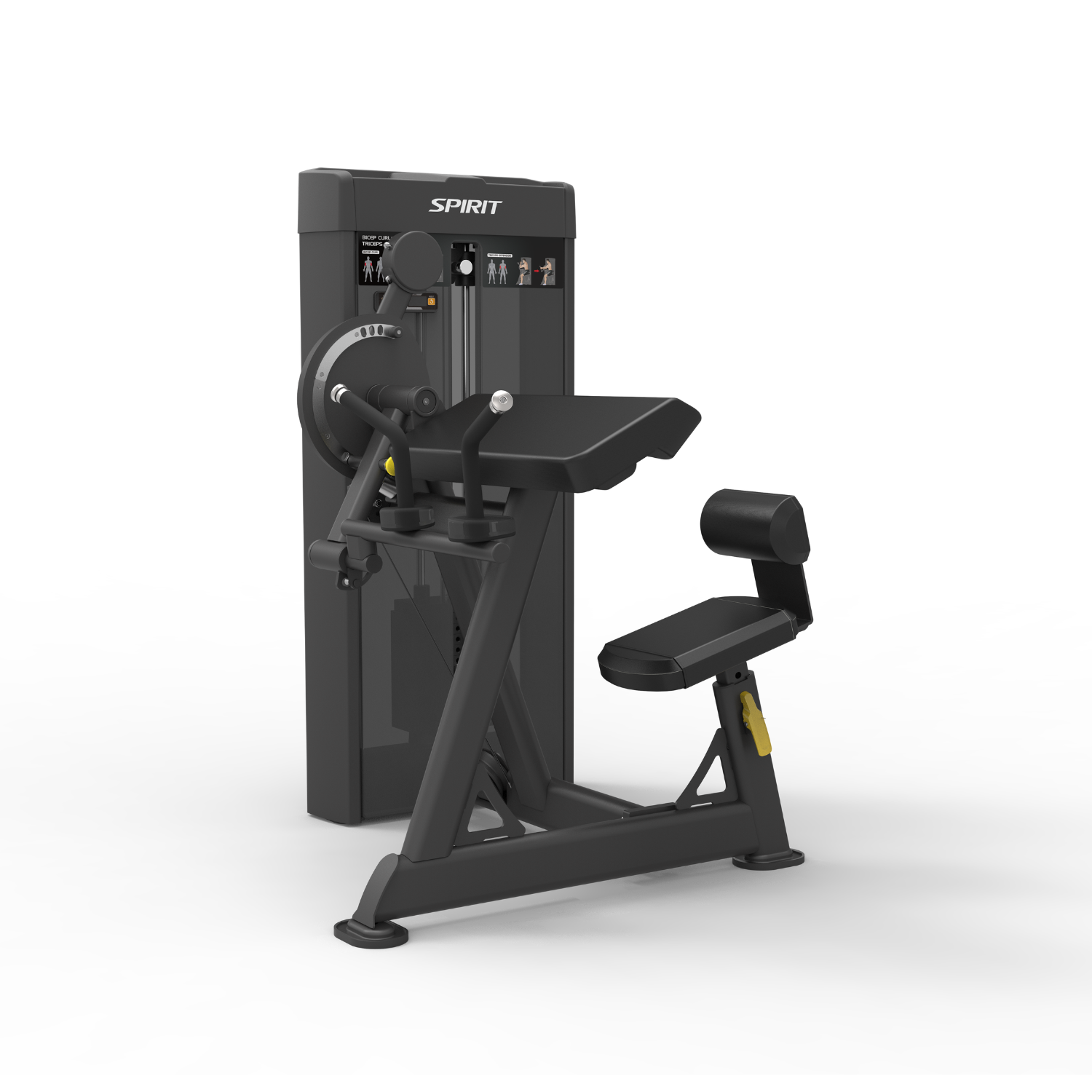 Spirit Commercial - Dual Biceps Curl / Triceps Extension SP-4607
