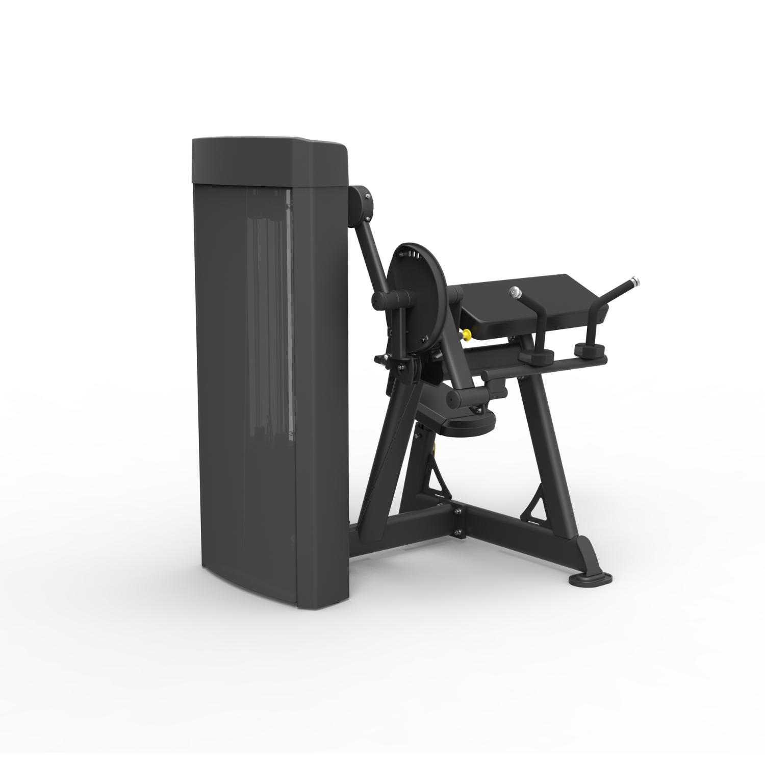 Spirit Commercial - Dual Biceps Curl / Triceps Extension SP-4607 – Image 2